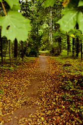 Similar image 8394020