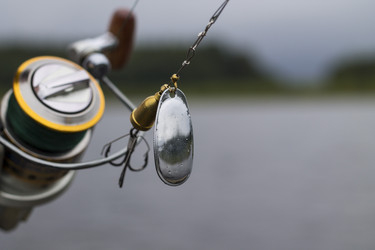 Similar image 8394023