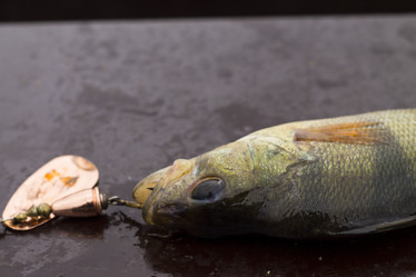 Similar image 8394024