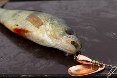 Similar image 8394025