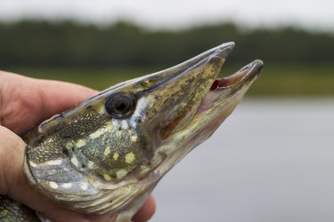 Similar image 8394026