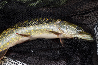 Similar image 8394027