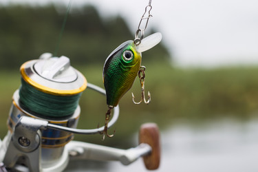 Similar image 8394028