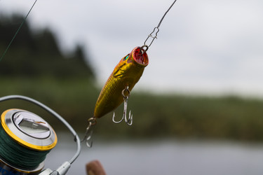 Similar image 8394030