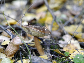 Similar image 8394052