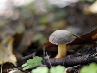 Similar image 8394053