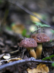 Similar image 8394054