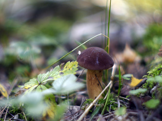 Similar image 8394056