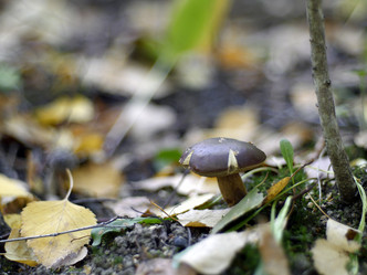 Similar image 8394059