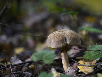 Similar image 8394060