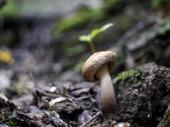 Similar image 8394081