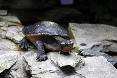 Similar image 8394121