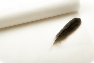 Similar image 8394165