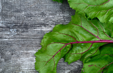 Similar image 8394170