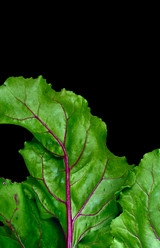 Similar image 8394171