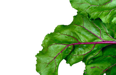 Similar image 8394172