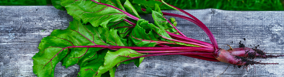 Similar image 8394174