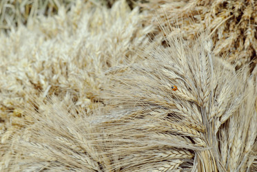 Similar image 8394176