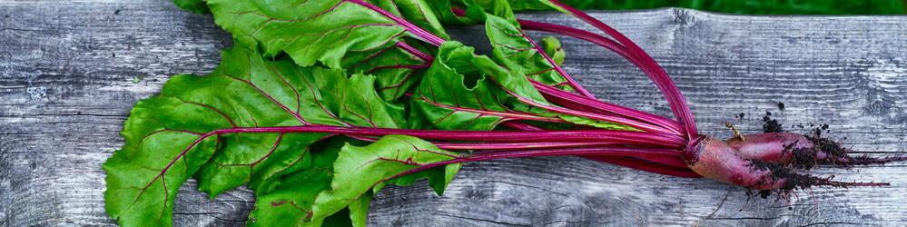 Similar image 8394177