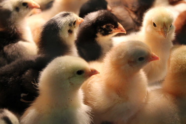 Similar image 8394178