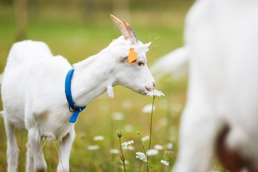 Similar image 8394181