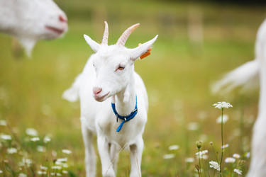 Similar image 8394182