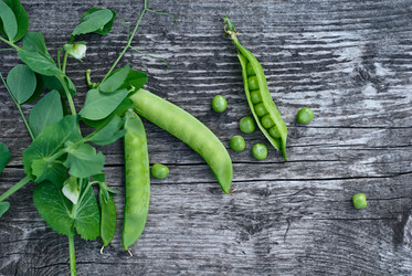 Similar image 8394186