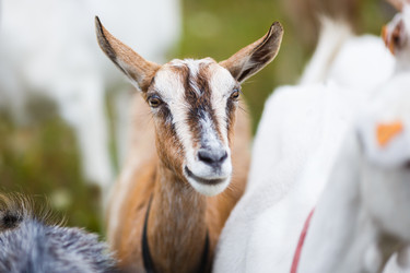 Similar image 8394197