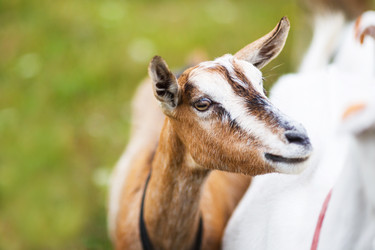 Similar image 8394198