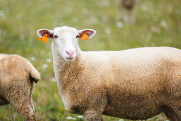 Similar image 8394199