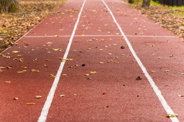 Similar image 8394279