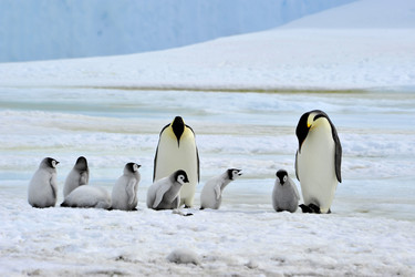 Similar image 8394311