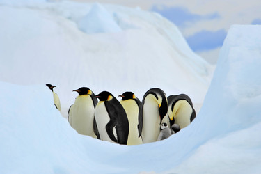 Similar image 8394313