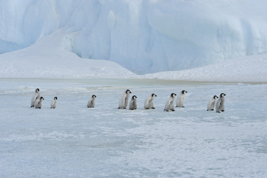 Similar image 8394325