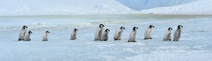 Similar image 8394326