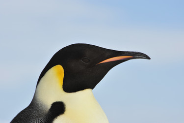 Similar image 8394328