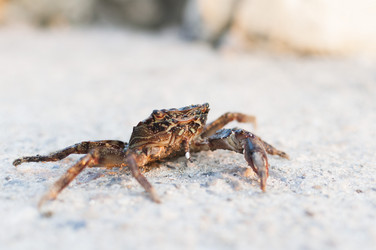 Similar image 8394378