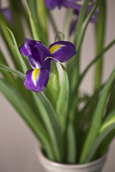 Similar image 8394389