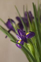 Similar image 8394390