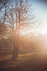 Similar image 8394391