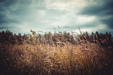 Similar image 8394392