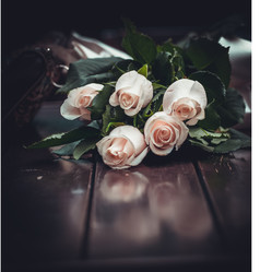 Similar image 8394393