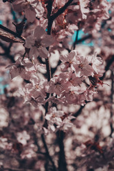 Similar image 8394394