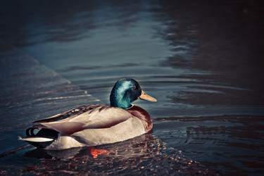 Similar image 8394395