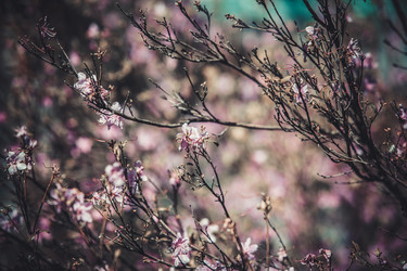 Similar image 8394397