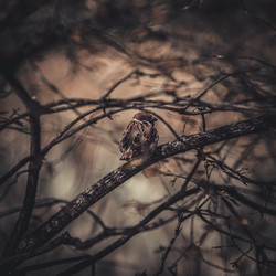 Similar image 8394398