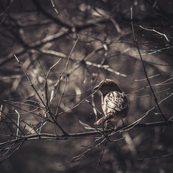 Similar image 8394399