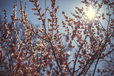 Similar image 8394400