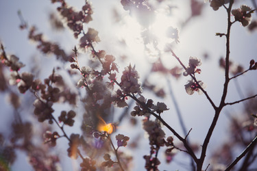 Similar image 8394401