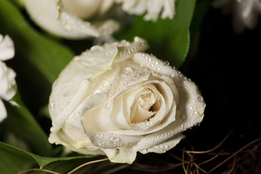 Similar image 8394410